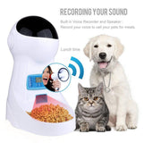 Automatic Pet Feeder