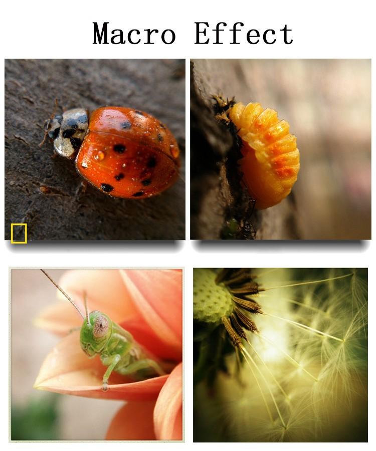 Fisheye Lenses 3 in 1 for Cellphone