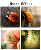 Fisheye Lenses 3 in 1 for Cellphone