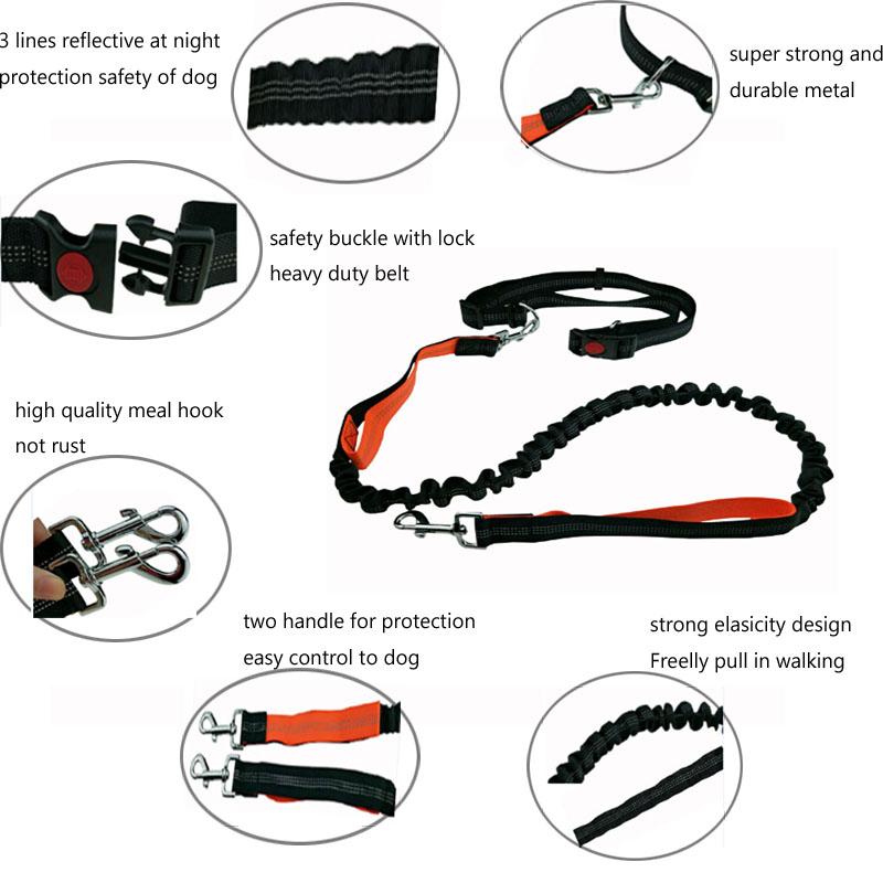 Jogger Dog Leash
