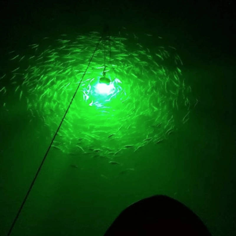 12V Underwater Fish-Lure Light