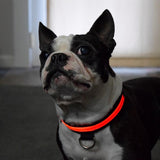 BrightNight Collar