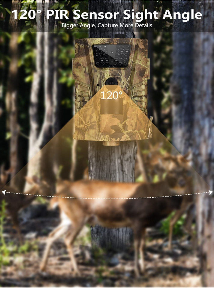 Wildlife Photography Trail Camera