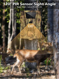 Wildlife Photography Trail Camera