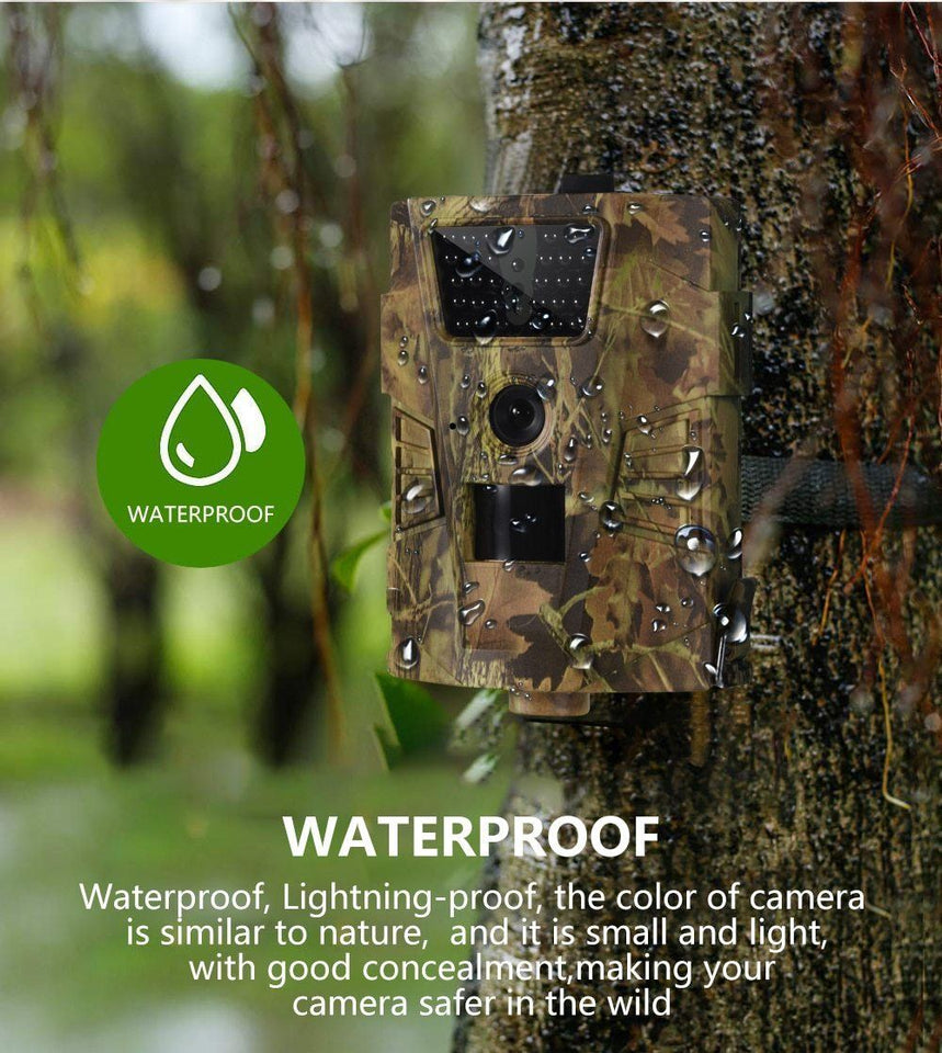 Wildlife Photography Trail Camera