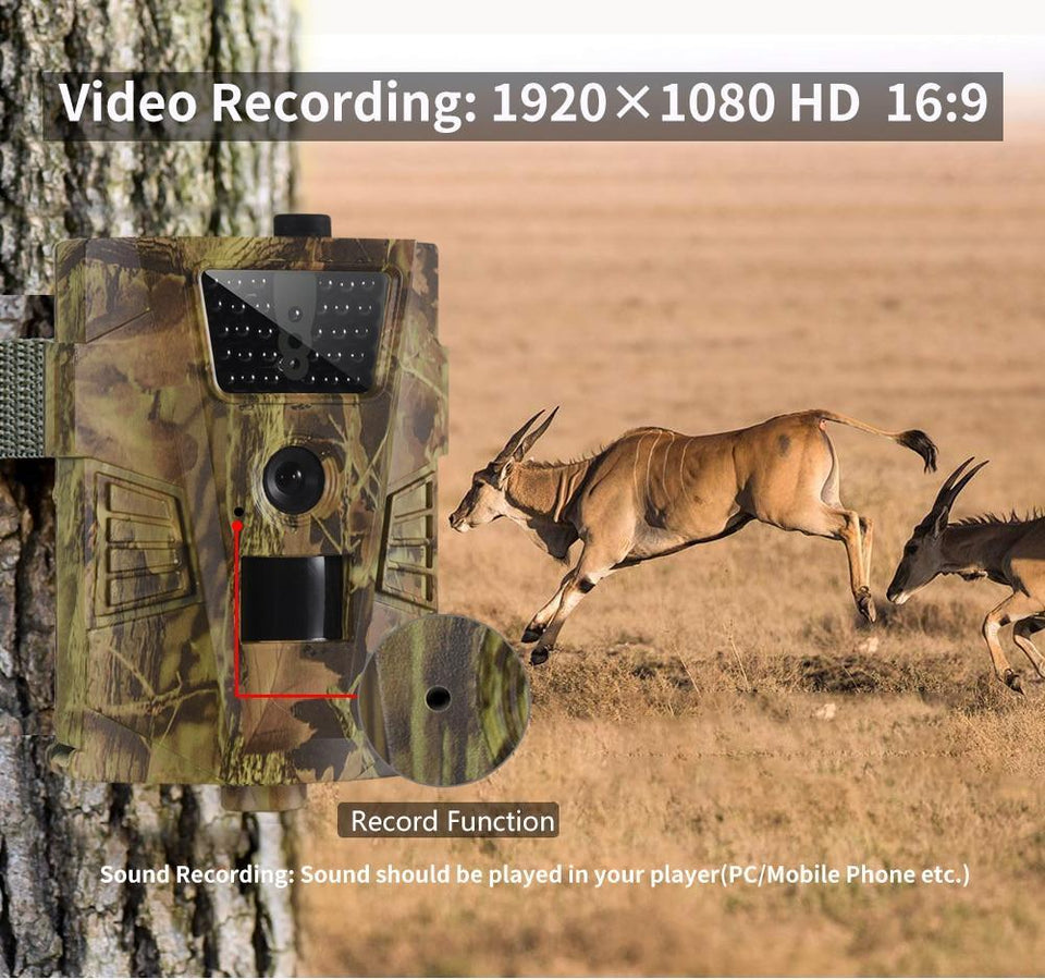 Wildlife Photography Trail Camera