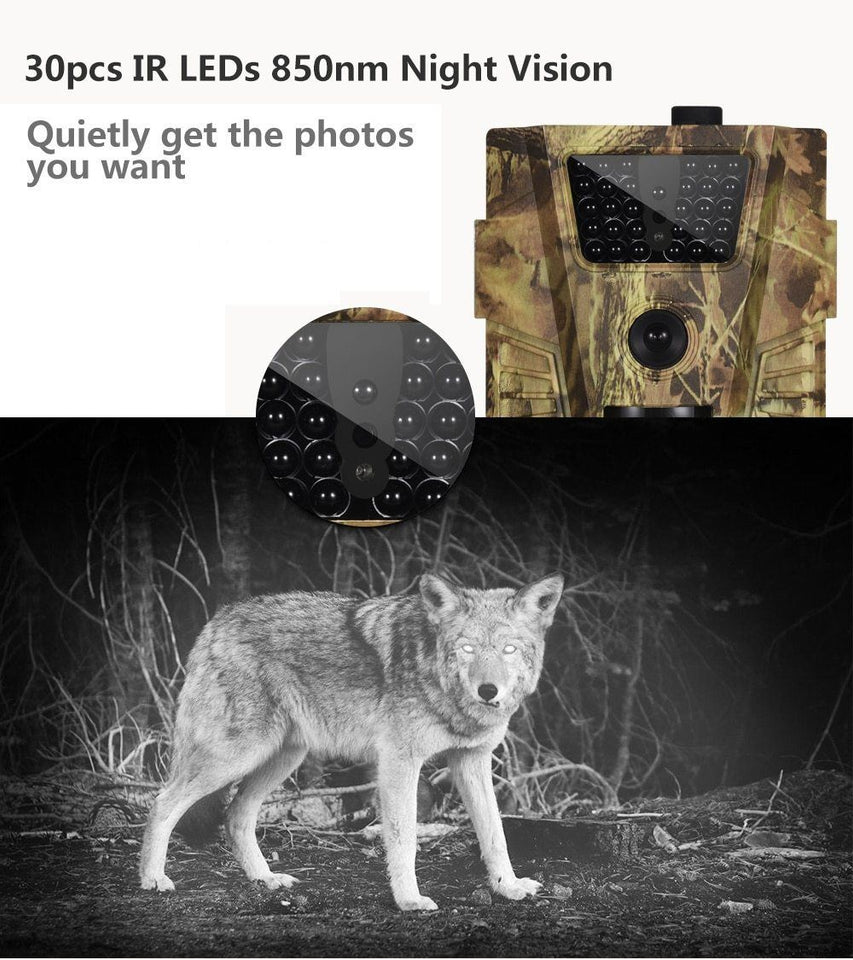 Wildlife Photography Trail Camera
