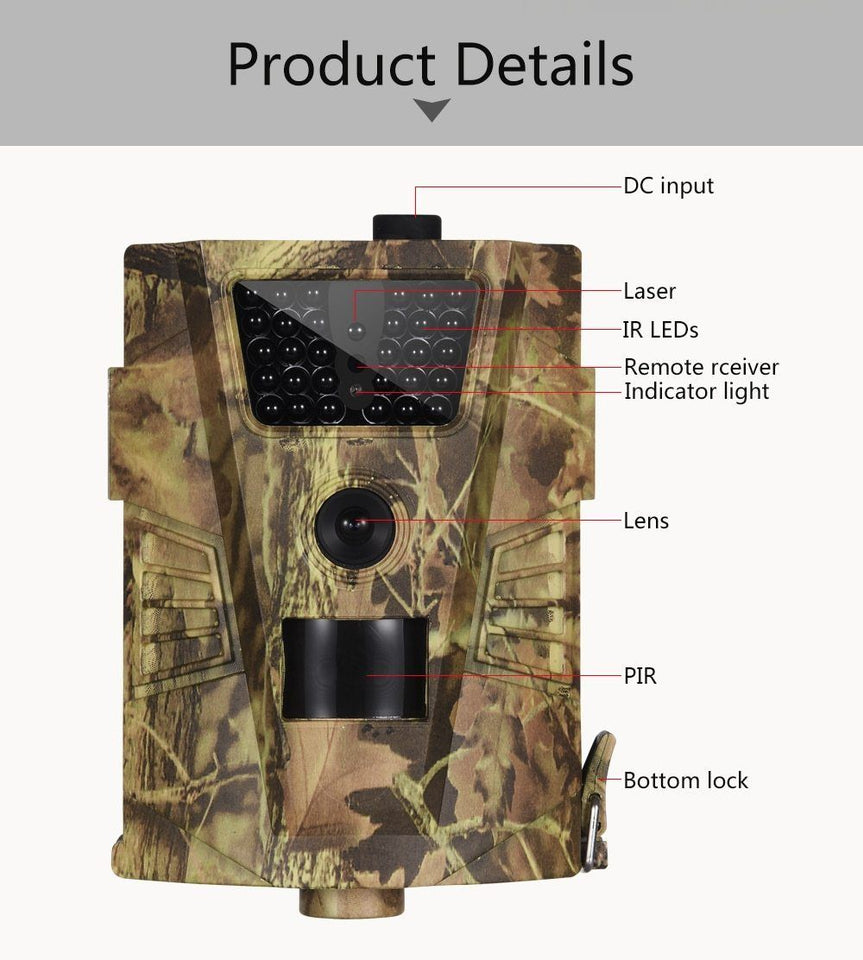 Wildlife Photography Trail Camera
