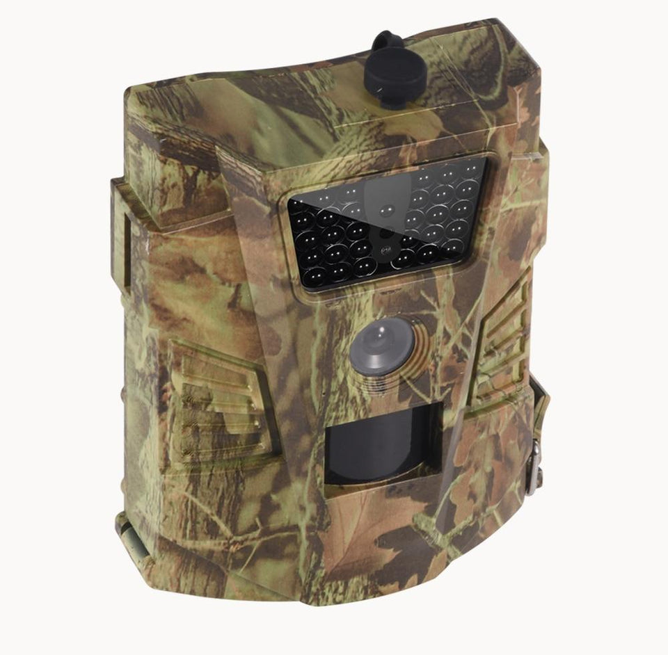 Wildlife Photography Trail Camera