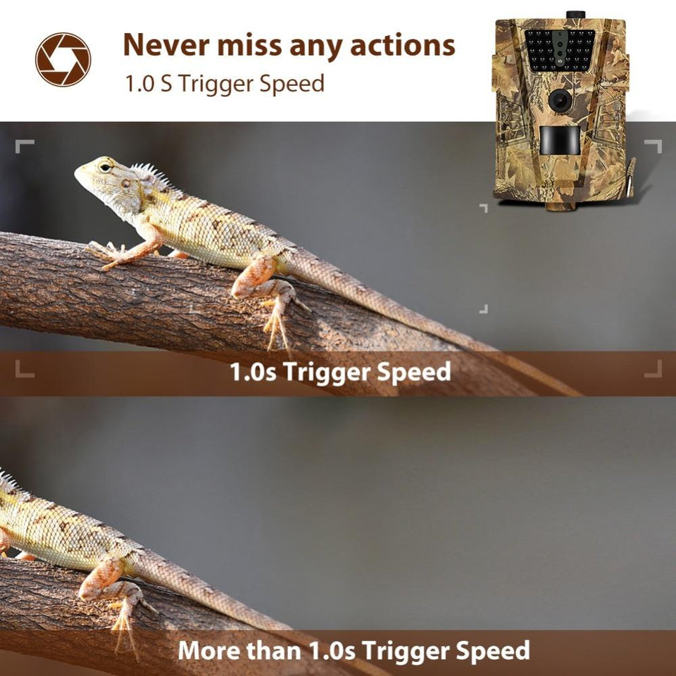 WildTrail-Wildlife Recording Cam