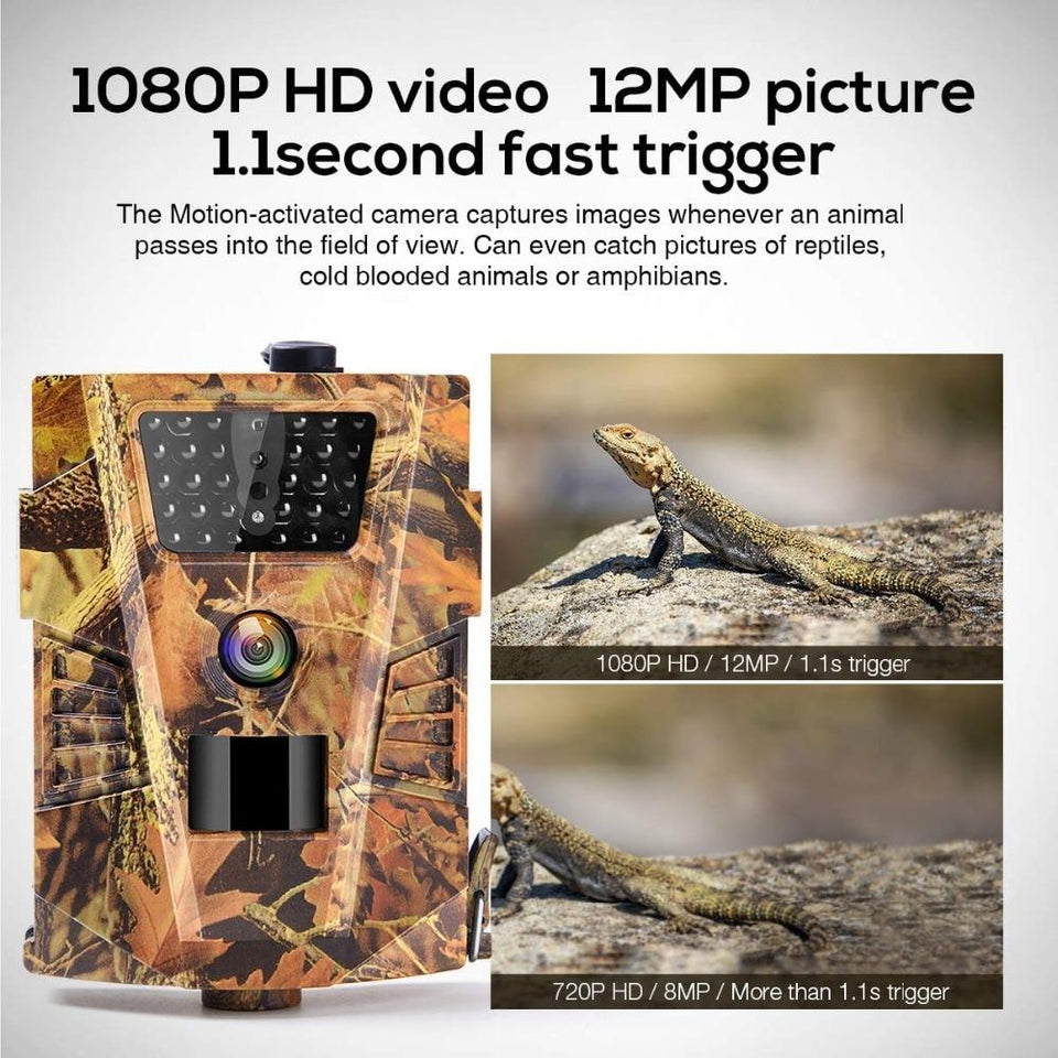 WildTrail-Wildlife Recording Cam