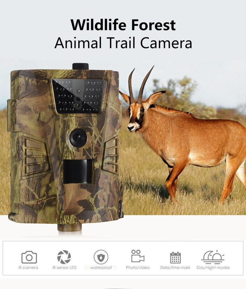 WildTrail-Wildlife Recording Cam