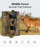 WildTrail-Wildlife Recording Cam