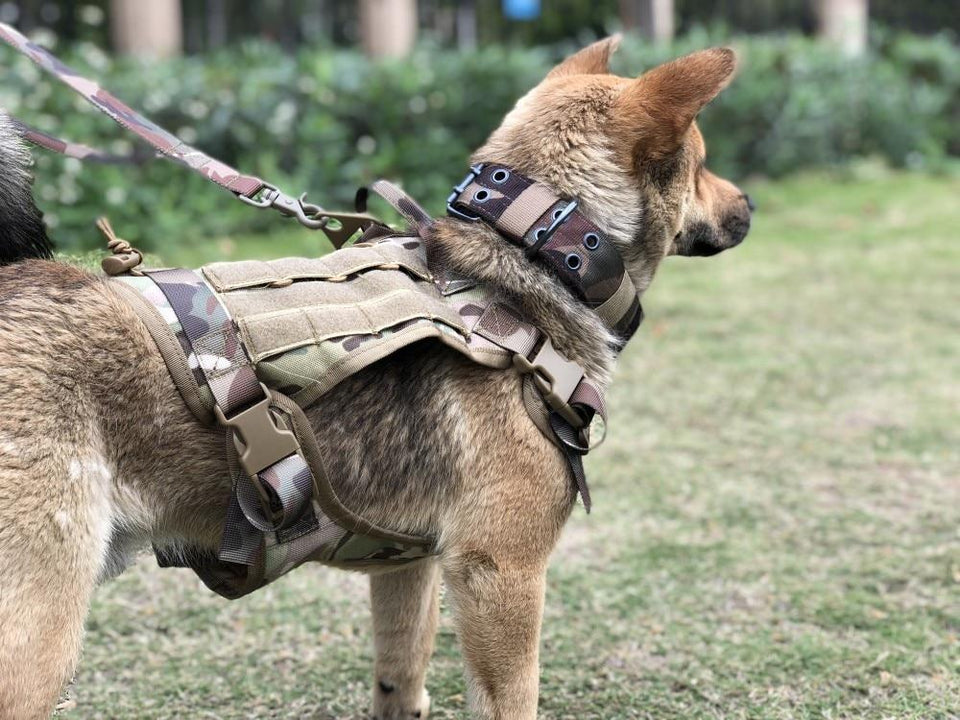Harmless Harness - No Pull Dog Harness