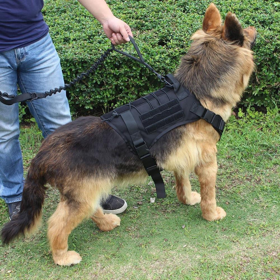 Harmless Harness - No Pull Dog Harness