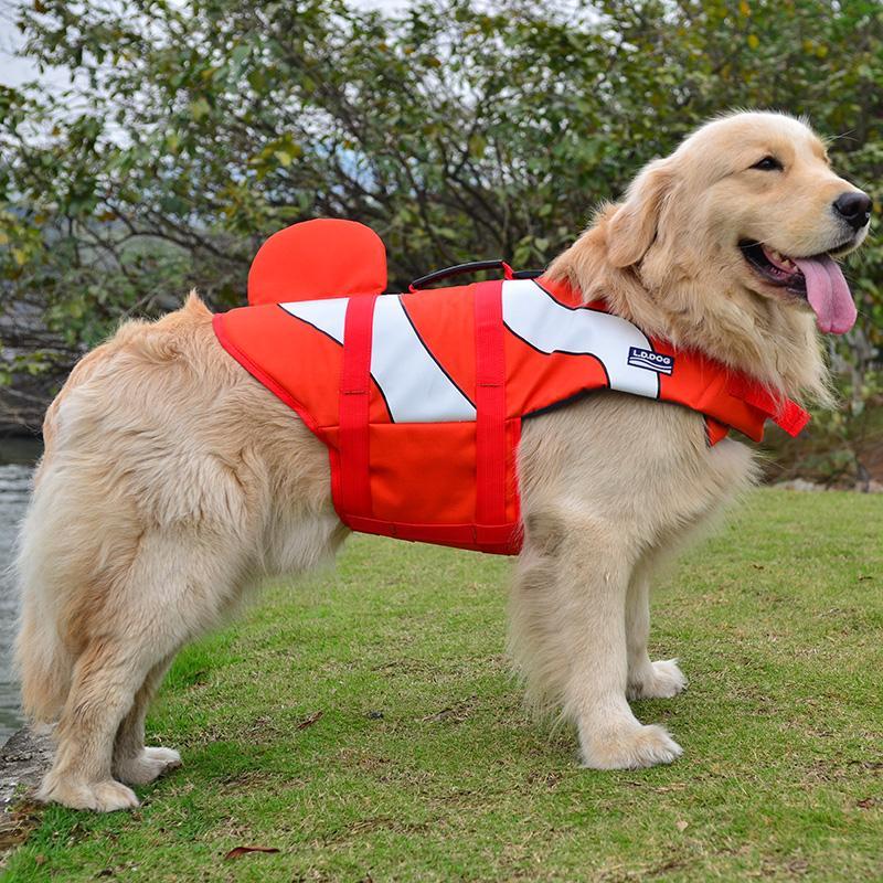Dog's Life Jacket