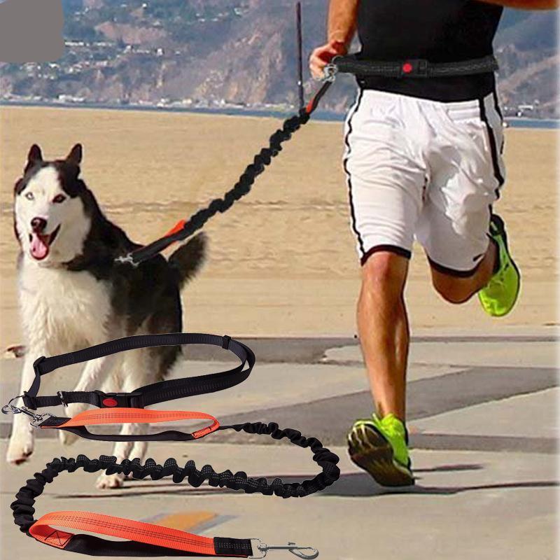 Jogger Dog Leash