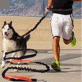 Jogger Dog Leash