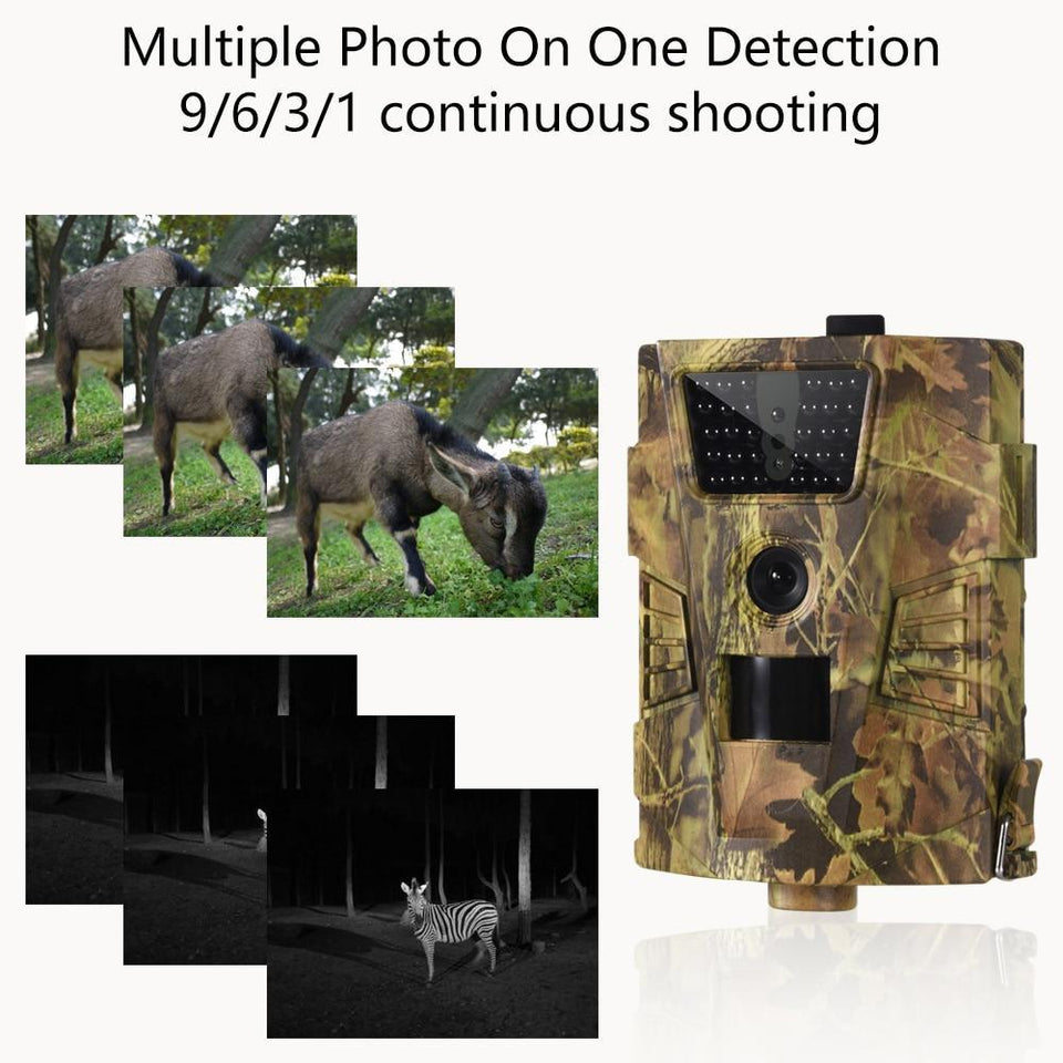 Wildlife Photography Trail Camera