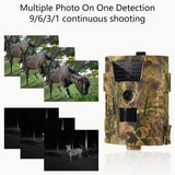 Wildlife Photography Trail Camera