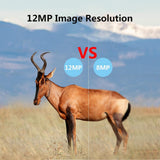 Wildlife Photography Trail Camera