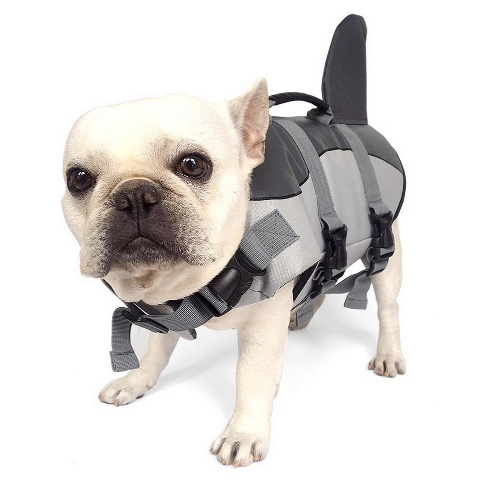 Dog's Life Jacket